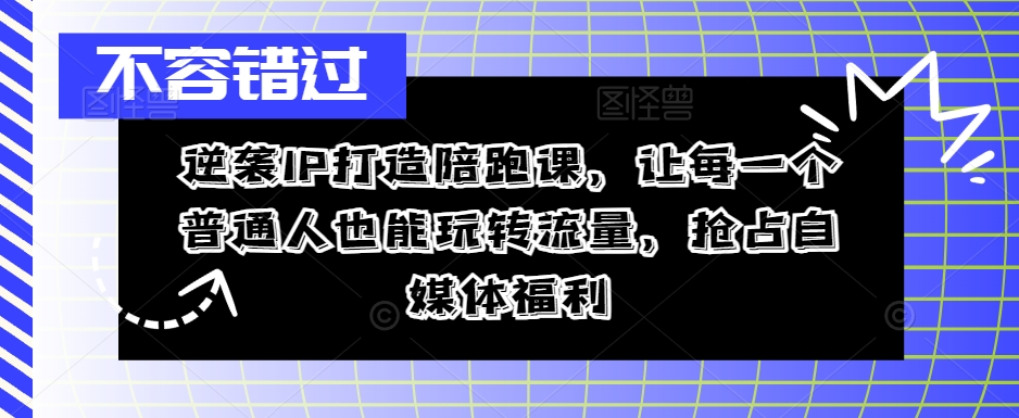 逆袭IP打造陪跑课，让每一个普通人也能玩转流量，抢占自媒体福利-大齐资源站