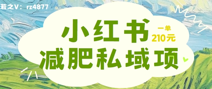 小红书减肥粉，私域变现项目，一单就达210元，小白也能轻松上手【揭秘】-大齐资源站