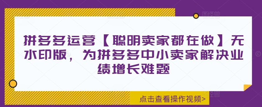 拼多多运营【聪明卖家都在做】无水印版，为拼多多中小卖家解决业绩增长难题-大齐资源站