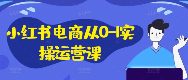 小红书电商从0-1实操运营课，小红书手机实操小红书/IP和私域课/小红书电商电脑实操板块等-大齐资源站