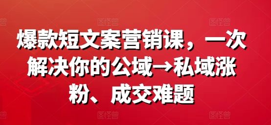 爆款短文案营销课，一次解决你的公域→私域涨粉、成交难题-大齐资源站