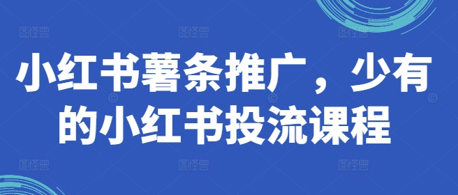 小红书薯条推广，少有的小红书投流课程-大齐资源站