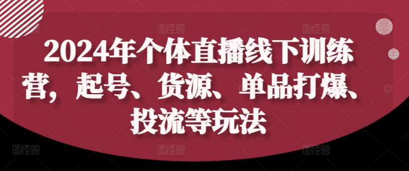 2024年个体直播训练营，起号、货源、单品打爆、投流等玩法-大齐资源站