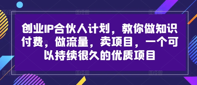 创业IP合伙人计划，教你做知识付费，做流量，卖项目，一个可以持续很久的优质项目-大齐资源站