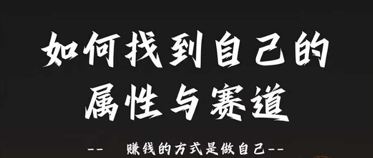 赛道和属性2.0：如何找到自己的属性与赛道，赚钱的方式是做自己-大齐资源站