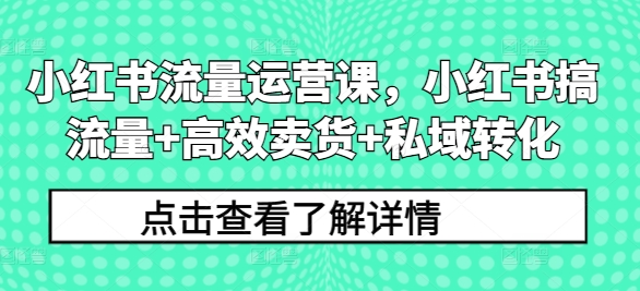 小红书流量运营课，小红书搞流量+高效卖货+私域转化-大齐资源站