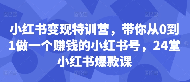 小红书变现特训营，带你从0到1做一个赚钱的小红书号，24堂小红书爆款课-大齐资源站