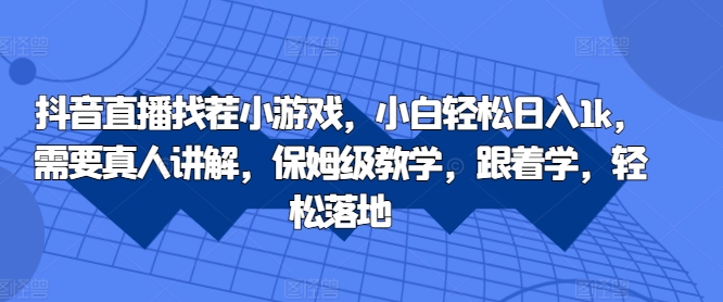 抖音直播找茬小游戏，小白轻松日入1k，需要真人讲解，保姆级教学，跟着学，轻松落地【揭秘】-大齐资源站