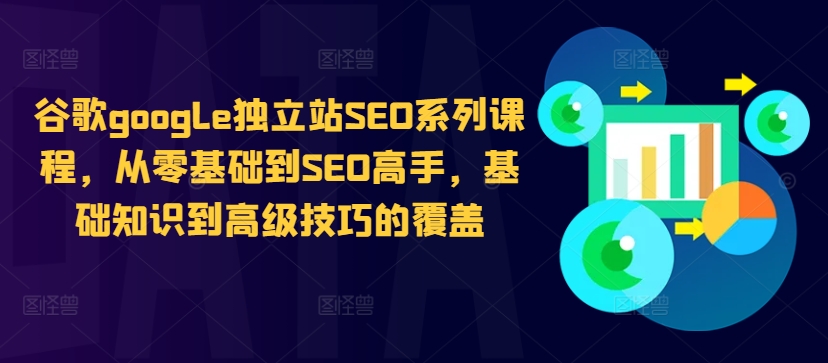 谷歌google独立站SEO系列课程，从零基础到SEO高手，基础知识到高级技巧的覆盖-大齐资源站