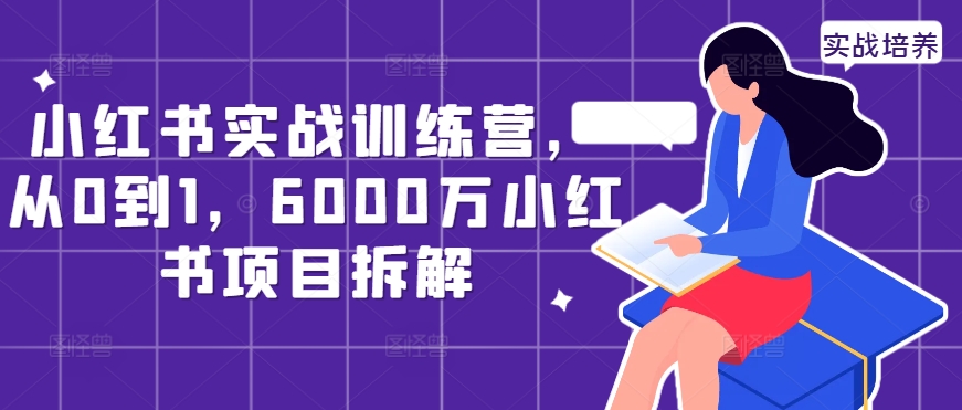 小红书实战训练营，从0到1，6000万小红书项目拆解-大齐资源站