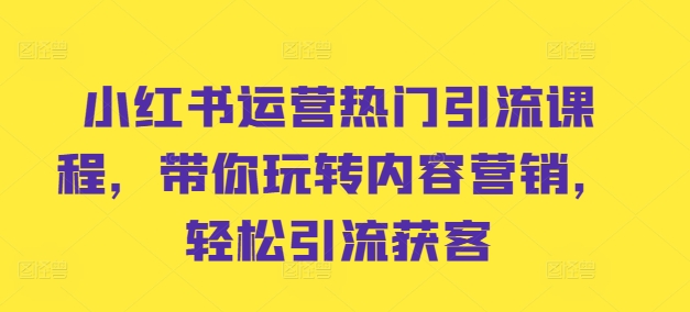 小红书运营热门引流课程，带你玩转内容营销，轻松引流获客-大齐资源站