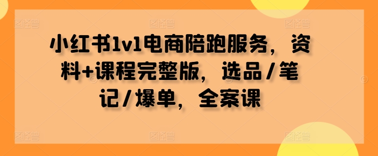 小红书1v1电商陪跑服务，资料+课程完整版，选品/笔记/爆单，全案课-大齐资源站