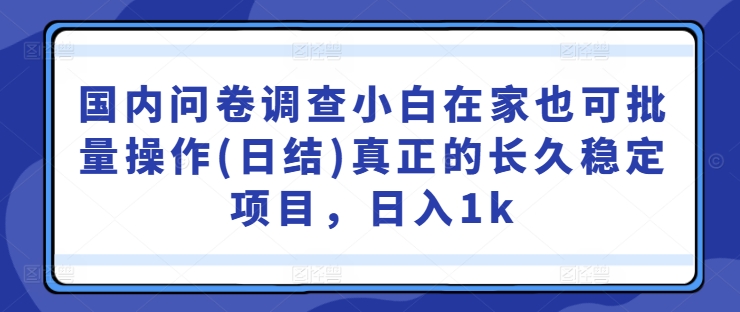 国内问卷调查小白在家也可批量操作(日结)真正的长久稳定项目，日入1k【揭秘】-大齐资源站