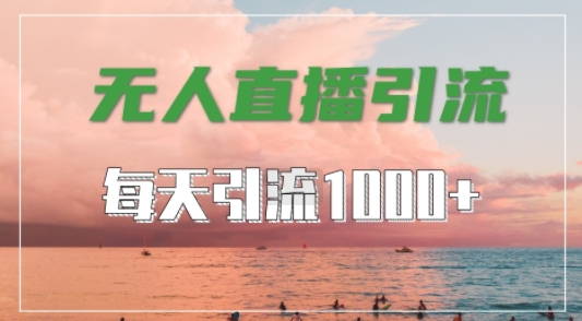 抖音快手视频号全平台通用，无人直播引流法，超暴力引流1000+高质量精准创业粉【揭秘】-大齐资源站