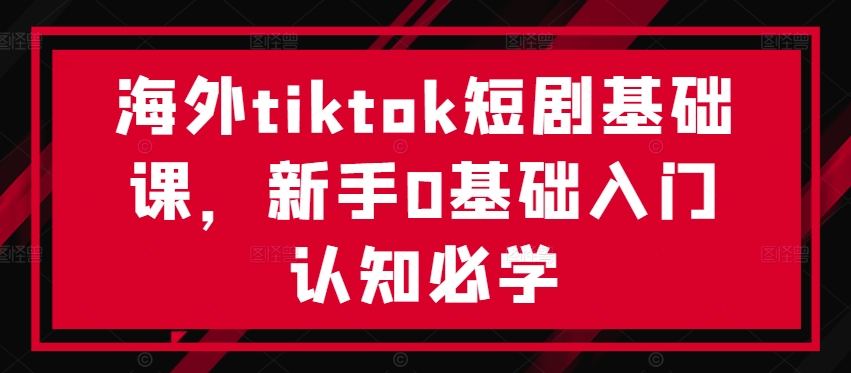 海外tiktok短剧基础课，新手0基础入门认知必学-大齐资源站