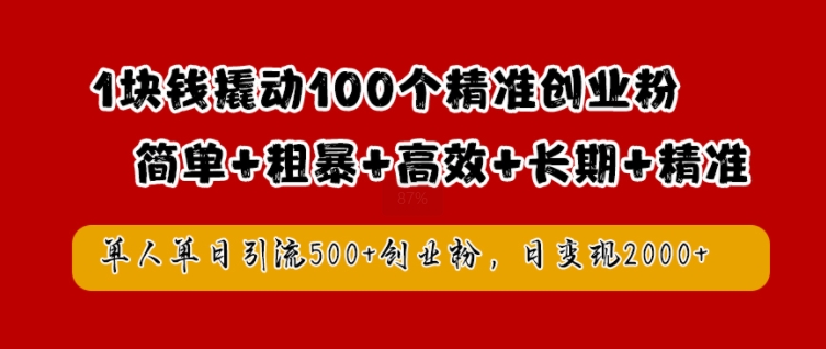 1块钱撬动100个精准创业粉，简单粗暴高效长期精准，单人单日引流500+创业粉，日变现2k【揭秘】-大齐资源站