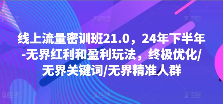 线上流量密训班21.0，24年下半年-无界红利和盈利玩法，终极优化/无界关键词/无界精准人群-大齐资源站