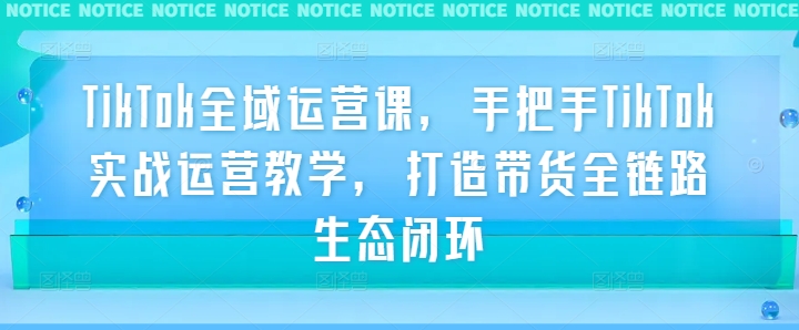 TikTok全域运营课，手把手TikTok实战运营教学，打造带货全链路生态闭环-大齐资源站