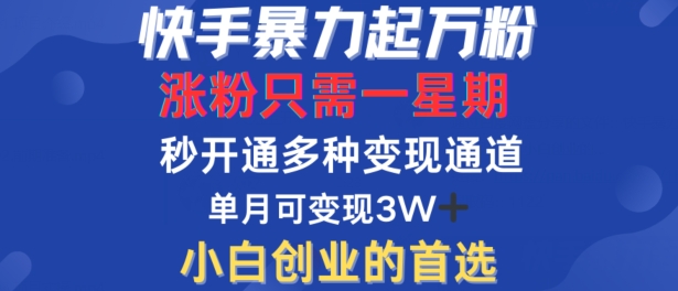 快手暴力起万粉，涨粉只需一星期，多种变现模式，直接秒开万合，单月变现过W【揭秘】-大齐资源站