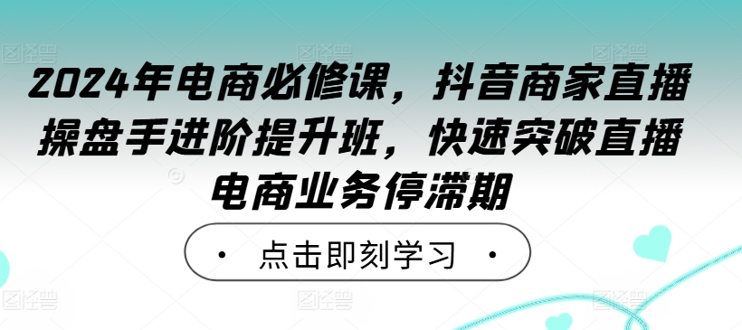 2024年电商必修课，抖音商家直播操盘手进阶提升班，快速突破直播电商业务停滞期-大齐资源站