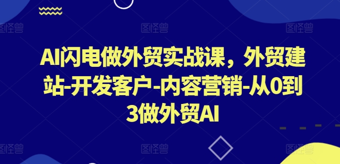 AI闪电做外贸实战课，​外贸建站-开发客户-内容营销-从0到3做外贸AI（更新）-大齐资源站