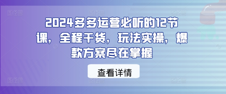 2024多多运营必听的12节课，全程干货，玩法实操，爆款方案尽在掌握-大齐资源站