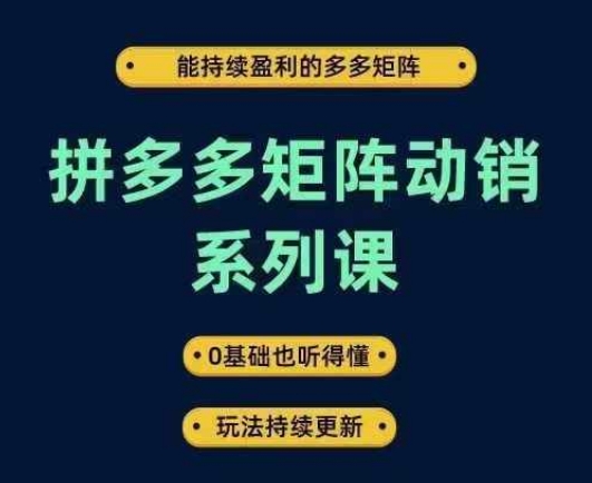 拼多多矩阵动销系列课，能持续盈利的多多矩阵，0基础也听得懂，玩法持续更新-大齐资源站