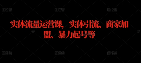 实体流量运营课，实体引流、商家加盟、暴力起号等-大齐资源站