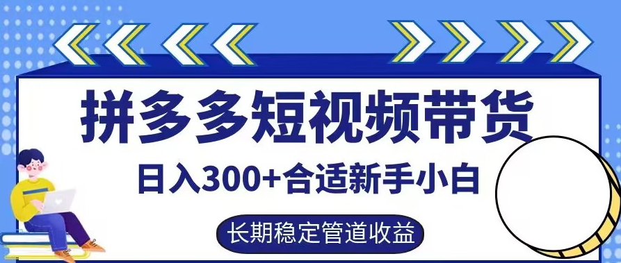 拼多多短视频带货日入300+有长期稳定被动收益，合适新手小白【揭秘】-大齐资源站