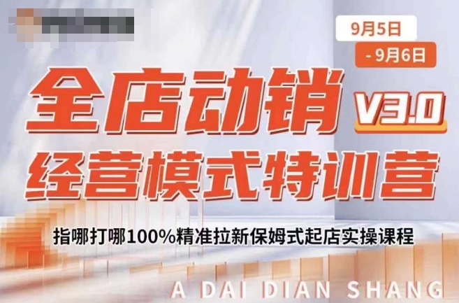 全店动销经营模式特训营，指哪打哪100%精准拉新保姆式起店实操课程-大齐资源站