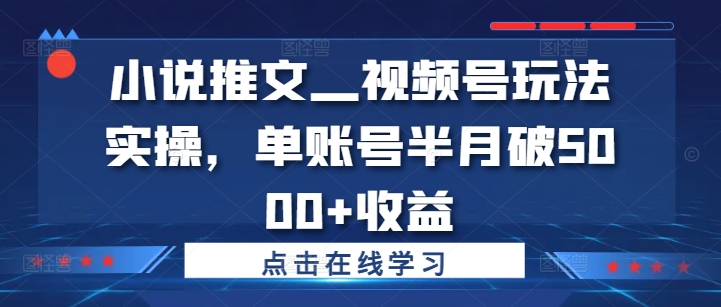 小说推文—视频号玩法实操，单账号半月破5000+收益-大齐资源站