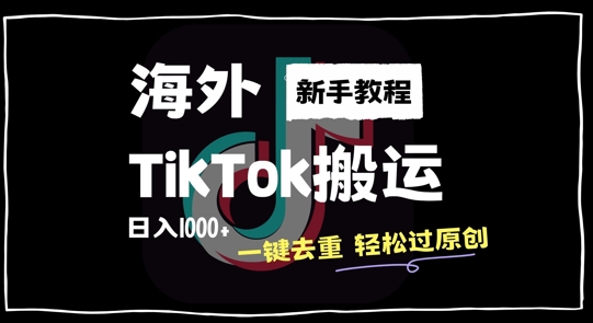 2024最新海外TikTok搬运玩法，一键去重轻松过原创，新手无经验也能日入1k【揭秘】-大齐资源站