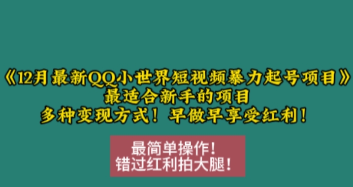 12月最新QQ小世界短视频暴力起号项目，最适合新手的项目，多种变现方式-大齐资源站