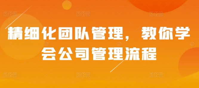 精细化团队管理，教你学会公司管理流程-大齐资源站