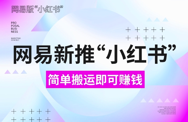 网易官方新推“小红书”，搬运即有收益，新手小白千万别错过(附详细教程)【揭秘】-大齐资源站