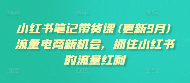 小红书笔记带货课(更新12月)流量电商新机会，抓住小红书的流量红利-大齐资源站