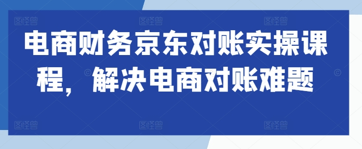 电商财务京东对账实操课程，解决电商对账难题-大齐资源站