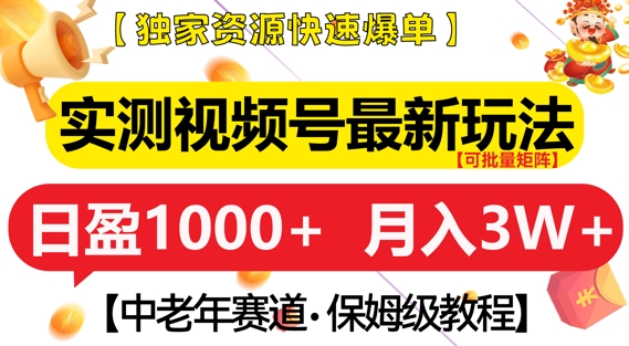 实测视频号最新玩法，中老年赛道，独家资源，月入过W+【揭秘】-大齐资源站