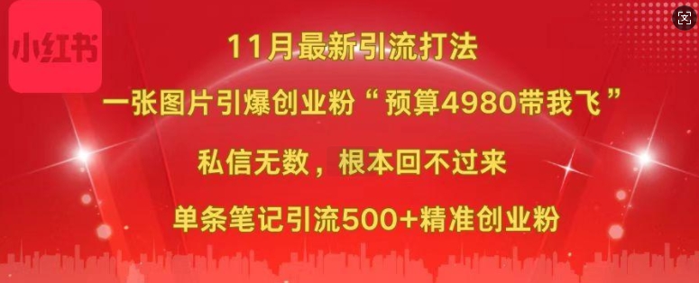 小红书11月最新图片打粉，一张图片引爆创业粉，“预算4980带我飞”，单条引流500+精准创业粉-大齐资源站