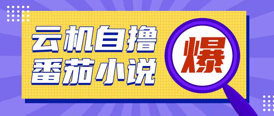 首发云手机自撸小说玩法，10块钱成本可撸200+收益操作简单【揭秘】-大齐资源站