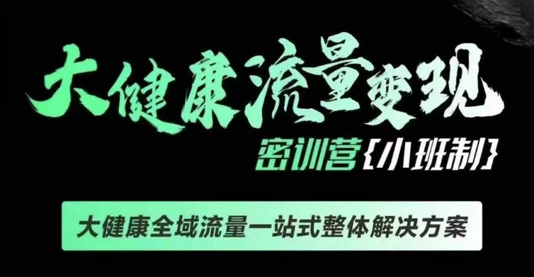 千万级大健康变现课线下课，大健康全域流量一站式整体解决方案-大齐资源站