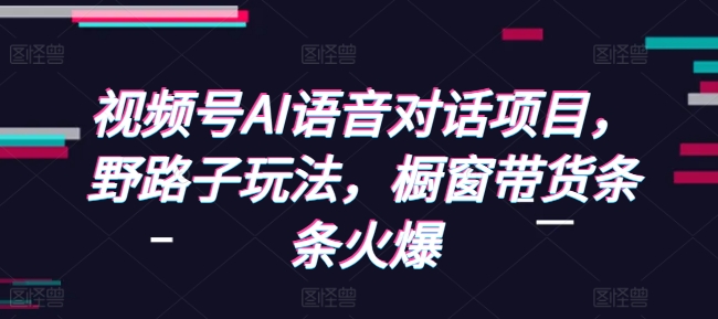 视频号AI语音对话项目，野路子玩法，橱窗带货条条火爆-大齐资源站