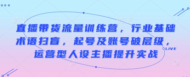 直播带货流量训练营，行业基础术语扫盲，起号及账号破层级，运营型人设主播提升实战-大齐资源站