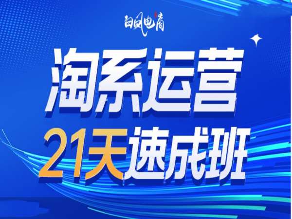 淘系运营21天速成班35期，年前最后一波和2025方向-大齐资源站